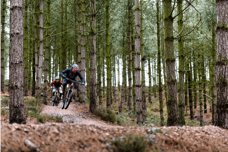 Cannock Chase, The Midlands