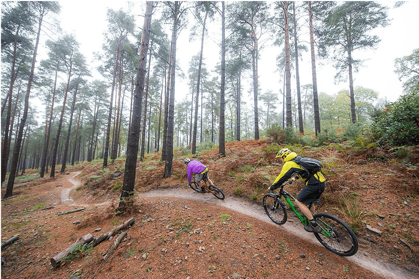 Peaslake, Surrey Hills